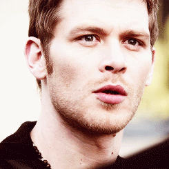 • klaus mikaelson •