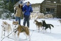 2002 Disney Film, "Snow Dogs" - disney photo
