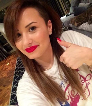 Demi Dyes Her Hair Back to Brown (2014)