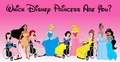 Disabled DPs - disney-princess photo