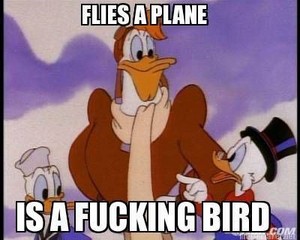  Flies a plane - Bird