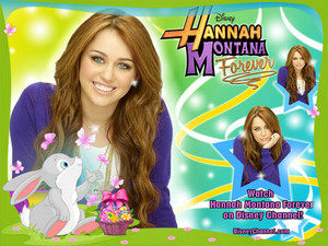  Hannah Montana Easter Long Weekend