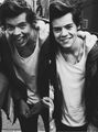 Harry ❤       - one-direction photo