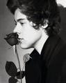 Harry ♥         - one-direction photo