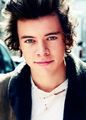 Harry ♑         - one-direction photo