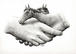  Horse handshake