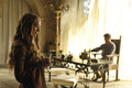 Jaime and Cersei Lannister - house-lannister photo