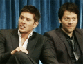 Jensen/Misha - jensen-ackles-and-misha-collins fan art