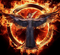 Katniss the Mockingjay - the-hunger-games photo