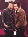 Liam and Harry - liam-payne photo