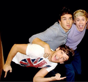 Lou, Liam and Niall