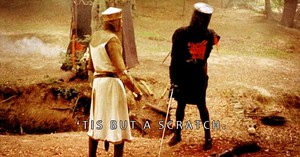 Monty Python's Portrayal of The Black Knight