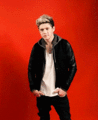 Niall               - one-direction photo