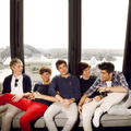 One Direction                  - one-direction photo
