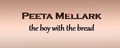 Peeta Mellark - the-hunger-games photo