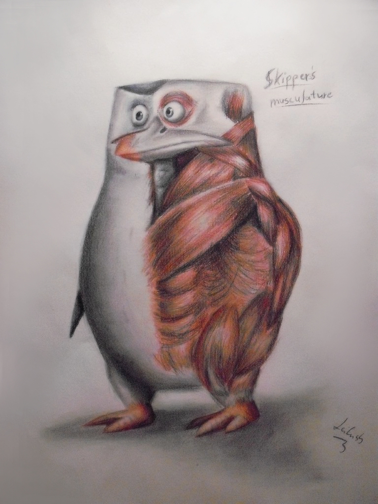 PoM - Anatomy II. - Penguins of Madagascar Fan Art (36972205) - Fanpop