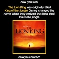 The Lion King | Now You Kno! - disney photo