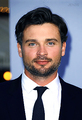 Tom(Draftday premiere,2014)  - tom-welling photo
