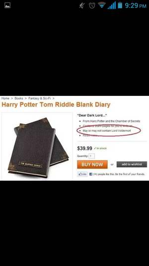  Tom Riddle Diary...