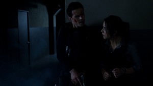 Ward and Skye (1x17)