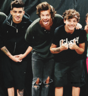  Zayn,Harry,Louis ♥
