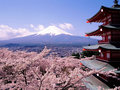 springtime in japan - beautiful-pictures photo