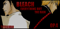 ººBLEACHºº - bleach-anime photo