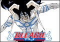 ººBLEACHºº - bleach-anime photo