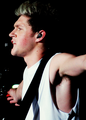                        Niall - one-direction photo