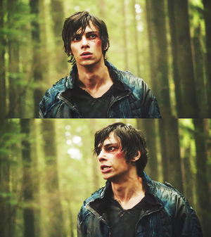 - The 100 -