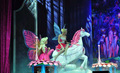 Barbie Live Show - barbie-movies photo