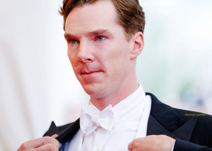  Benedict at the Met Gala - 2014