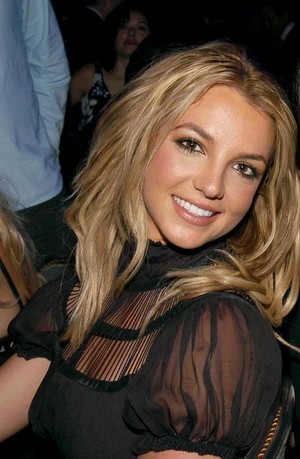  Britney 粉丝 Art