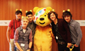 Children In Need 2011 ;)                   - one-direction photo