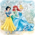 Snow White, Ariel and Cinderella - disney-princess photo