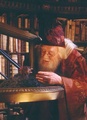 Dumbledore and Fawkes - harry-potter photo