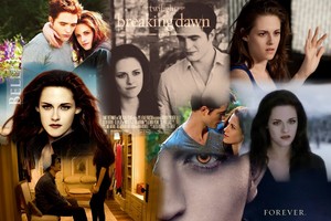  Edward and Bella FOREVER<3