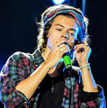 Harry Styles 2014 - one-direction photo