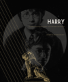 Harry          - harry-potter photo