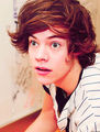 Harry                 - one-direction photo