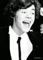 Harry                    - one-direction photo