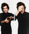Harry                    - one-direction photo