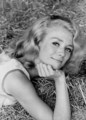 Inger Stevens (18 October 1934 – 30 April 1970) - celebrities-who-died-young photo