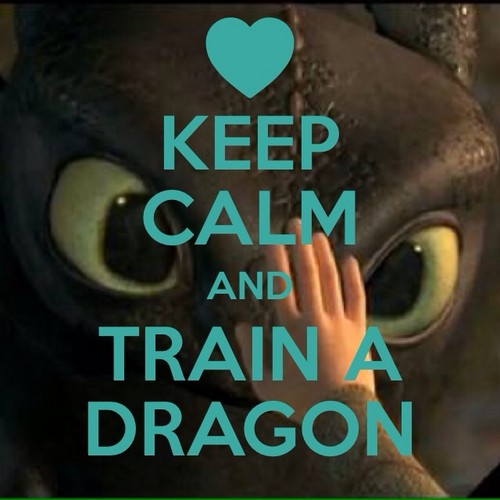 Keep calm and train a dragon  - toothless-the-dragon Fan Art