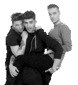 Louis, Zayn and Liam               - one-direction photo