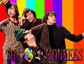 Monkees - the-monkees fan art