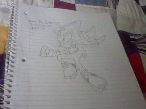  My own drawing of Shadow. .3.
