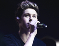 NIall                           - one-direction photo