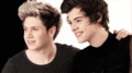 Niall and Harry - one-direction photo