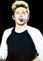 Niall                     - one-direction photo